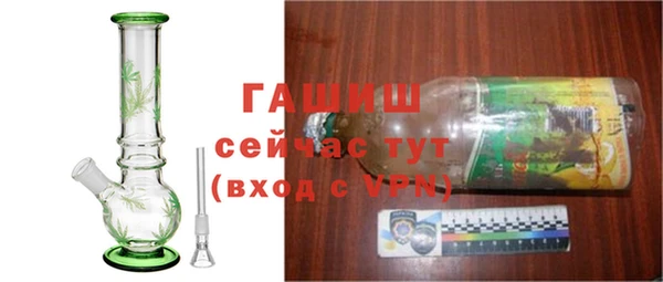 прущие грибы Дмитровск