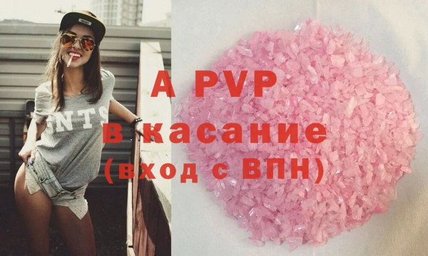 прущие грибы Дмитровск