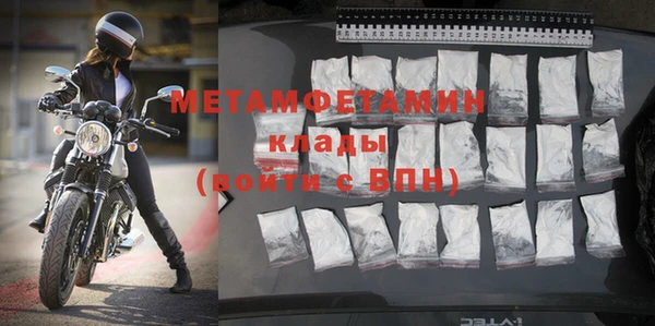 прущие грибы Дмитровск