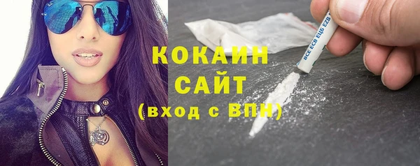 прущие грибы Дмитровск